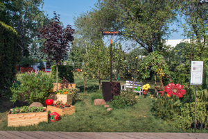 Moscow Flower Show 2016