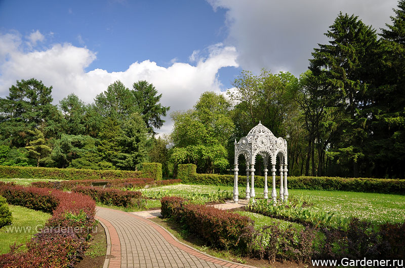 Центральный ботанический сад НАН Беларуси | Ландшафтный дизайн садов и  парков