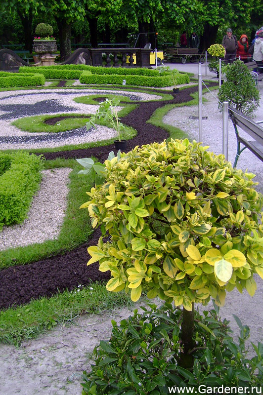 http://www.gardener.ru/gallery/parki/mirabell/21.jpg