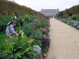 Ботанический сад Парижа