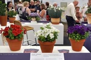 Жюри Chelsea Flow Show 2012 и Королевское общество садоводов Великобритании в третий раз выбрало лучшие растения года.