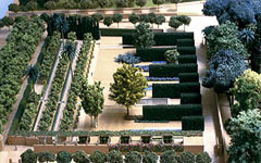Сад в Валенсии
