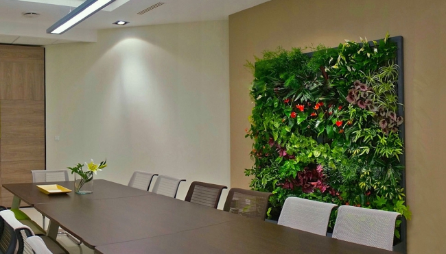 Стена из растений в офисе http://www.groomedland.ru/