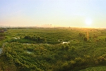 Заболоченный ливневый парк Qunli в Харбине