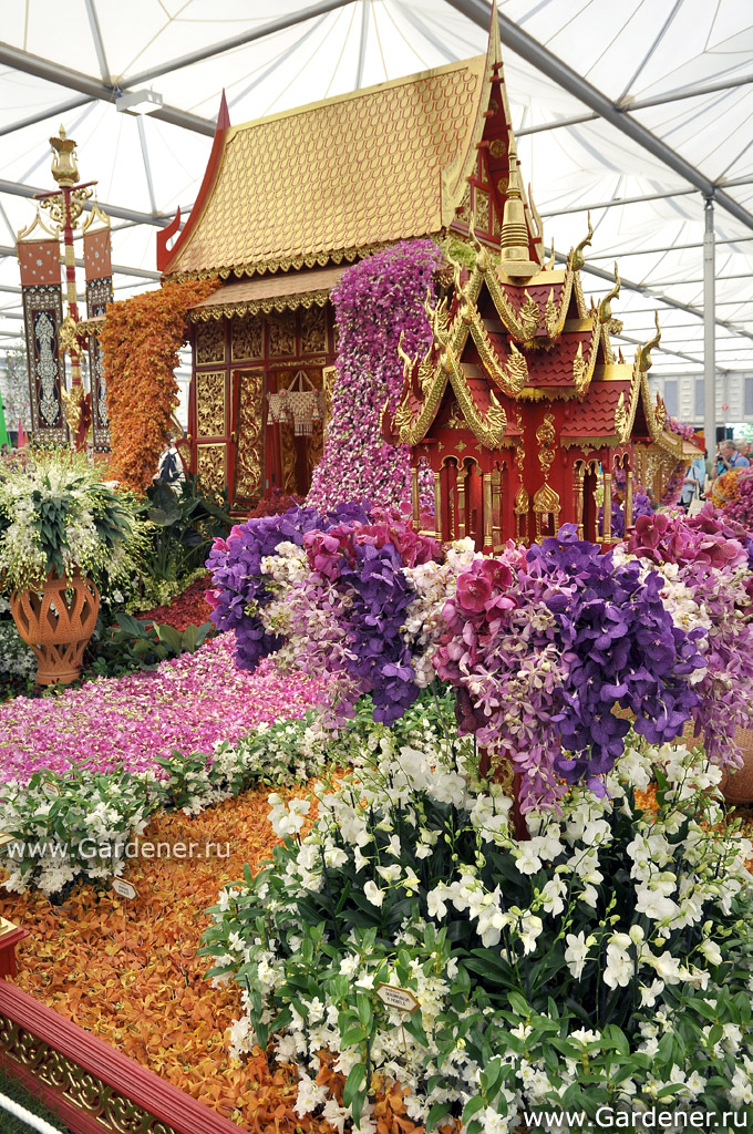 Русский дом выставка цветов. Выставка растений. Дизайн выставки цветов.