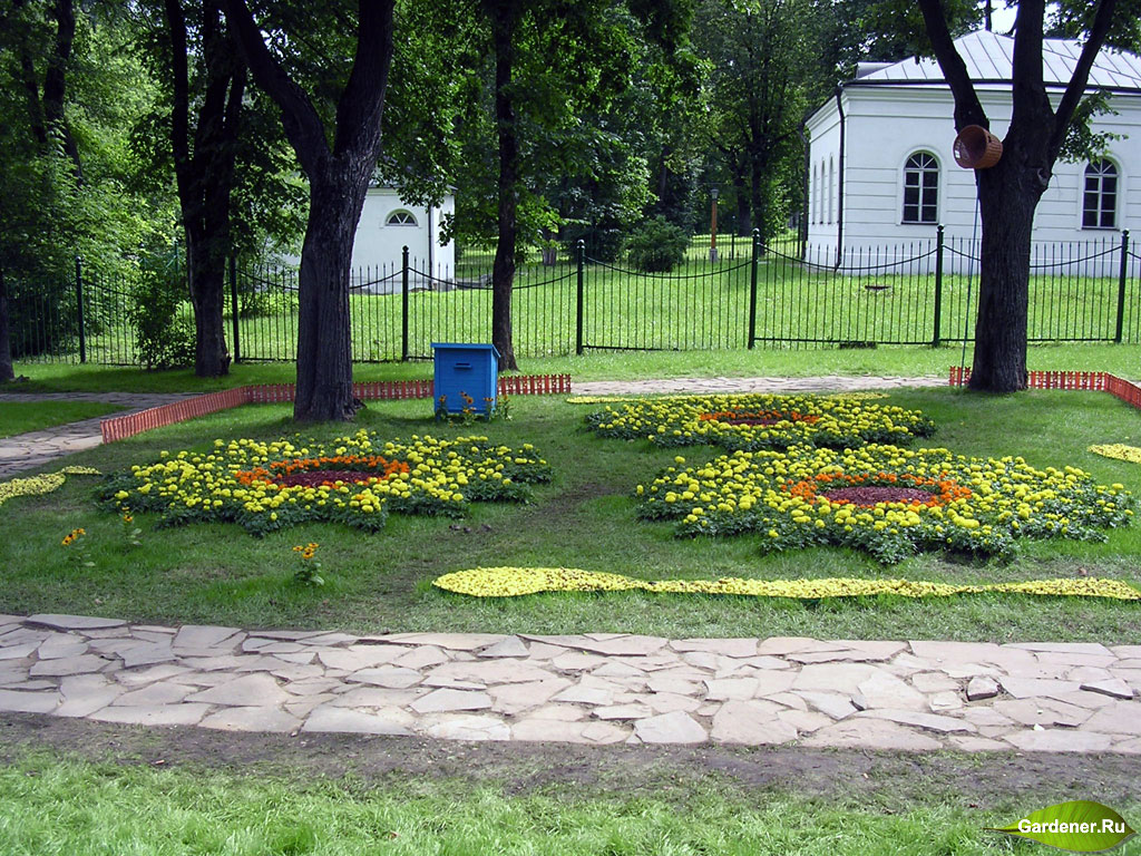Кузьминки парк клумбы. Ковровые цветники. Клумбы в парке Кузьминки. Городской фестиваль цветников.