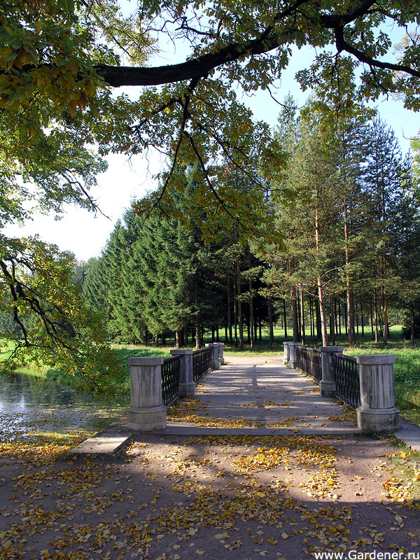 Екатерининский парк старые