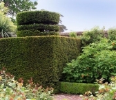 Borde Hill Garden