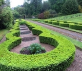 Annes Grove Gardens