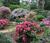 Rhododendronpark Hobbie