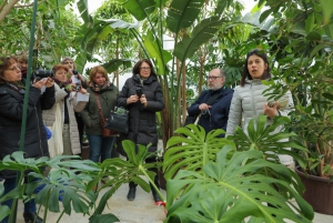 Одна из главных европейских комплексных выставок декоративного и плодового растениеводства, садоводства и ландшафтного дизайна Myplant & Garden прошла в Милане 22-24 февраля этого года. В составе группы журналистов из европейских стран по приглашению италь ...